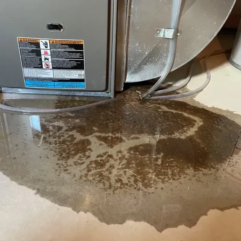 Appliance Leak Cleanup in Giddings, TX